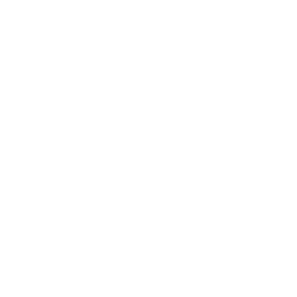 Hella Gutmann